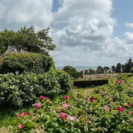 Hiidbloom - Hues Im Wattweg Kampen